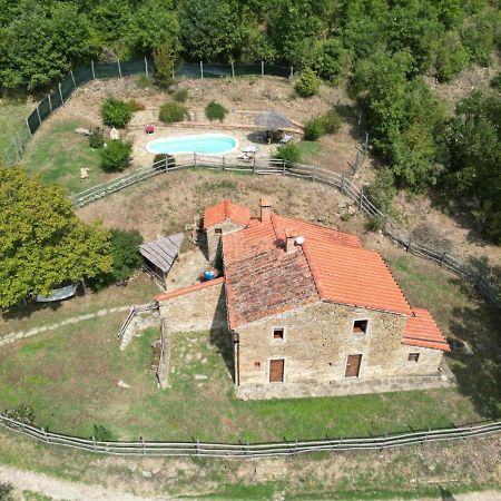 Agriturismo Con Piscina In Toscana, Tribbiano Arezzo Esterno foto