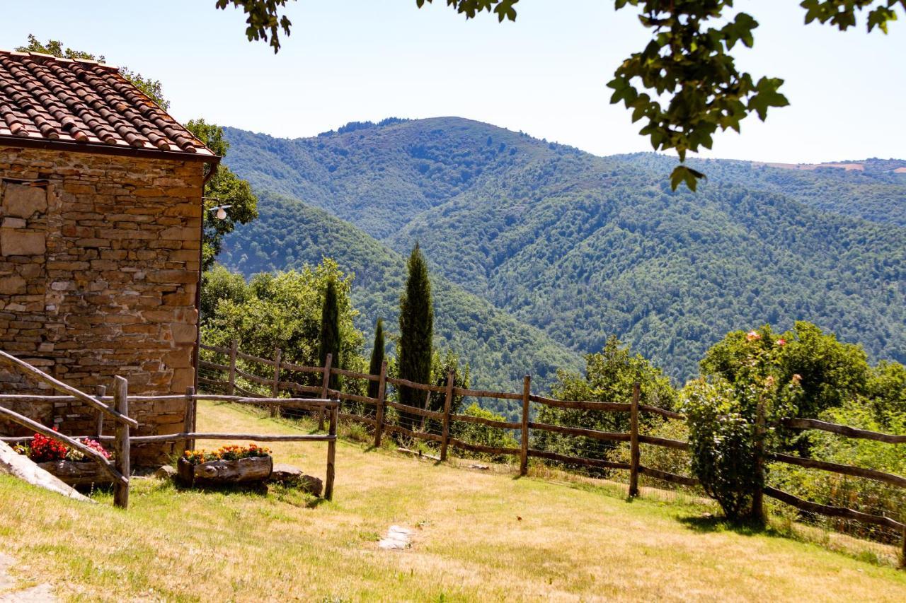 Agriturismo Con Piscina In Toscana, Tribbiano Arezzo Esterno foto