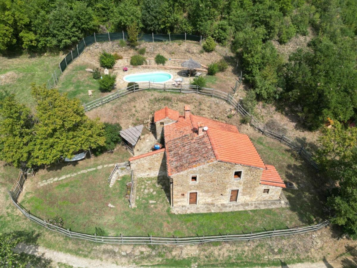 Agriturismo Con Piscina In Toscana, Tribbiano Arezzo Esterno foto