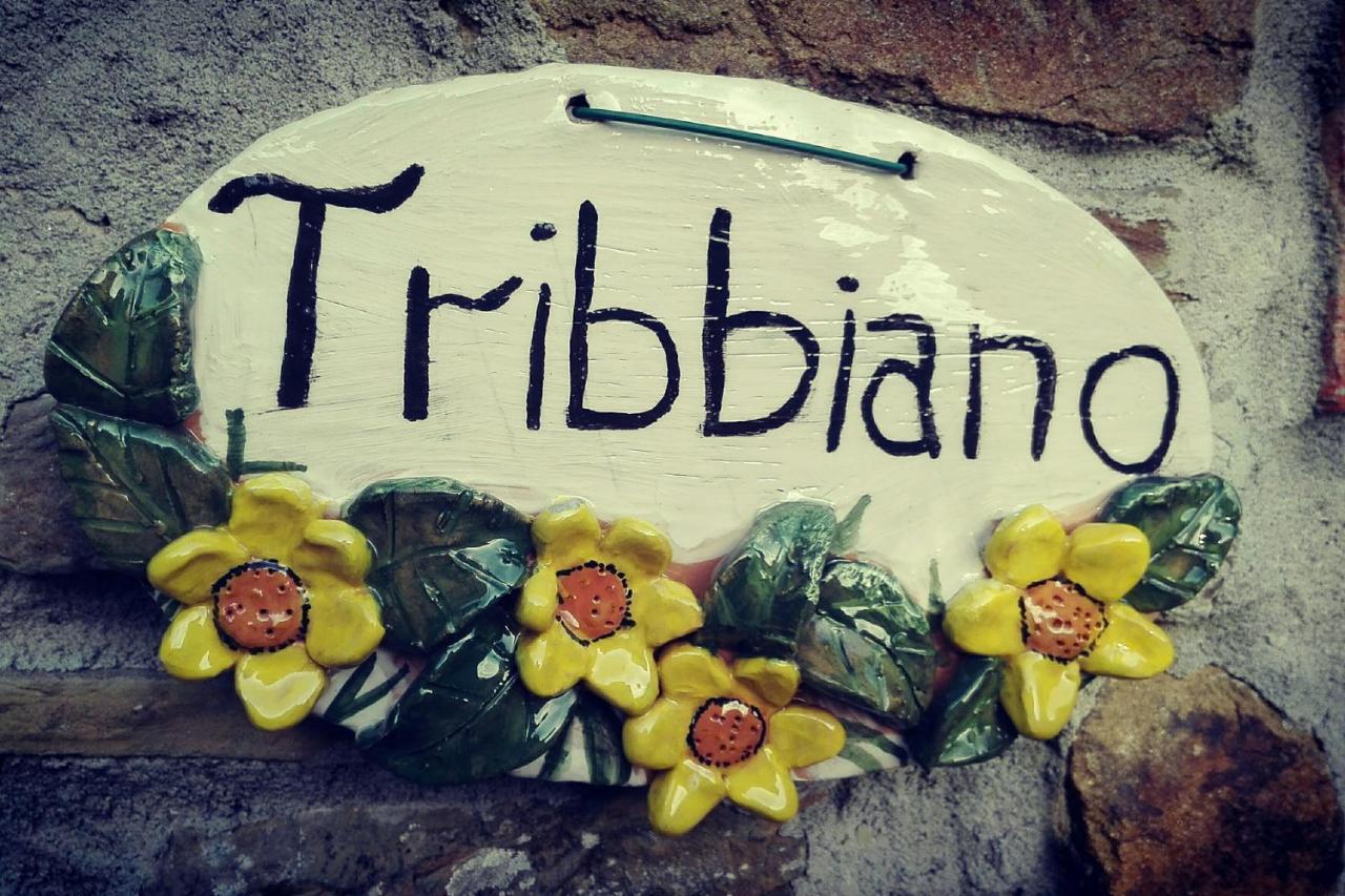Agriturismo Con Piscina In Toscana, Tribbiano Arezzo Esterno foto